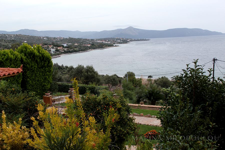 ΣΤΥΡΑ ΕΥΒΟΙΑΣ - ΔΗΛΗΣΟ ΙΣΟΓΕΙΟ ΔΙΑΜΕΡΙΣΜΑ ΔΙΠΛΑ ΣΤΟ ΚΥΜΑ ...